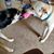 Lynne Ellerbrock's profile image