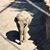 Tamera Poppe's profile image