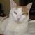 Steve Bailey's profile image