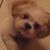 Candy Rivera Whitehead's profile image