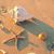 Jerra Casto's profile image