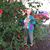 Donnamae Olson's profile image