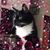 Sue Wykel's profile image
