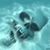 Rich Leibl's profile image