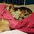 Monica Teresa Garcia's profile image
