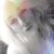 Jazalyn Marie Welshans's profile image