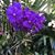Anne Marie Pembroke Gardiner's profile image