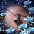 Susan Minkel Yarborough's profile image