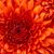Lori Guernsey Eames's profile image