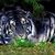 Leanne Bell Choate's profile image