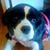 Kathy Lind's profile image
