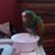 Barbara Shurtliff Archer's profile image