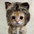 Nadine Guajardo's profile image