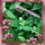Cindy Tschudy's profile image
