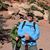 Donna Fullerton's profile image