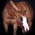 Ellen Deming-Jumper's profile image