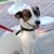Kathryn Kellems's profile image