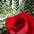 Sandy Blackstone Antonellis's profile image