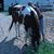 Erna Ginkel's profile image