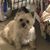 Karen Grimmett's profile image