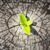 Luis D Gonzalez's profile image