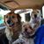 Dawn Sundberg's profile image
