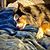 Jason P Tharpe's profile image