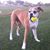 Suzanne Isbell's profile image