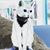 Brian Kimber's profile image