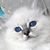 Daria Lemon's profile image