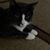 Marlene Gray Delp's profile image