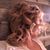Dawn DeSha Caneer Vitiello's profile image