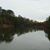 Gaile Jones Culpepper's profile image