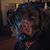 Brad Cagle's profile image
