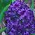 Sherri Wegrzyn's profile image