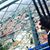 Rokardy Rodriguez Larios's profile image