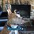 Viki Sims Dunn's profile image