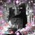 Anthony Nguyen's profile image