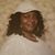 Marie Lewis's profile image