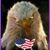 Jim Reich's profile image