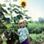 Maggie Mae Rice's profile image
