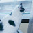 Mayjor's profile image