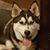 Tonya Walker's profile image
