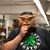 Shaun Kennedy's profile image