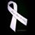 Jill Ann Sanders's profile image