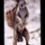 Linn Resor's profile image