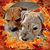 Rhelda Hughes's profile image