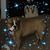 Patty Herczeg's profile image