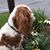 Tammy Lamb's profile image
