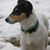 Lori Rill's profile image